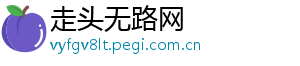 走头无路网